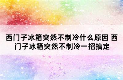 西门子冰箱突然不制冷什么原因 西门子冰箱突然不制冷一招搞定